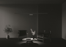 Трековый светильник Points rot Exility 2700-6000K 12Вт 36° Dim Dali1, TR033-4-12WTW-DD-W