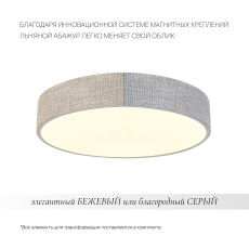 Потолочный светильник Ruler FR5555CL-L30BGG