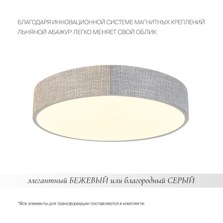 Потолочный светильник Ruler FR5555CL-L30BGG