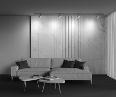 Трековый светильник TR088-1-GX53-MG