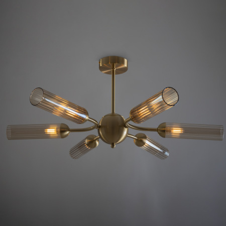 Потолочный светильник Borgy, FR5379CL-06G