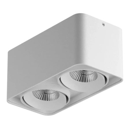 Светильник точечный накладной декоративный под заменяемые галогенные или LED лампы Monocco 212526