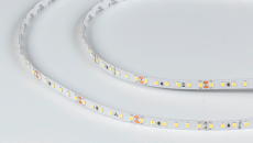 Лента светодиодная LUX, 2835, 120 LED/м, 14,4 Вт/м, 24В, IP33, Холодный белый (6000K), 004500