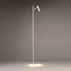 Торшер Maytoni Estudo Z010FL-L8W3K