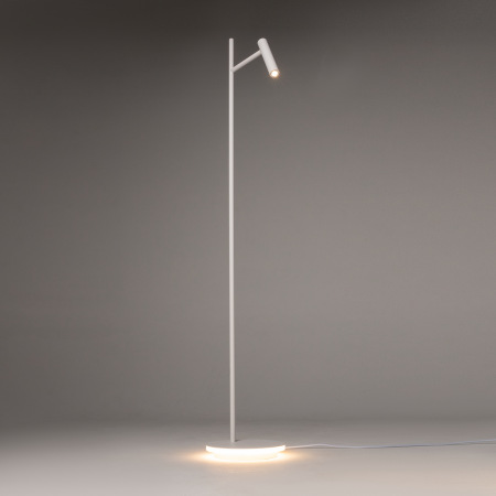 Торшер Maytoni Estudo Z010FL-L8W3K