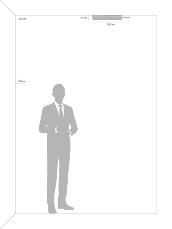 Потолочный светильник Lisoa, FR10032CL-L98B