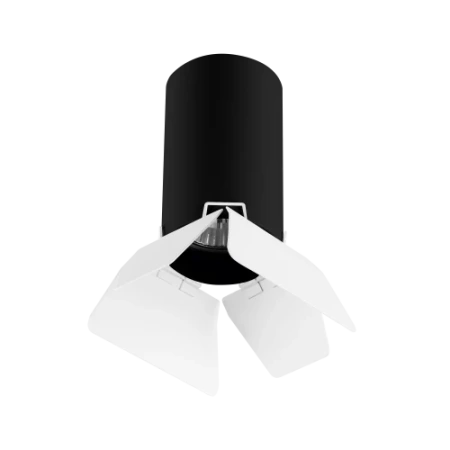 Потолочный светильник Lightstar Rullo (214437+202436) R437436