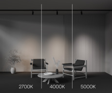 Трековый светильник Focus Led Trinity 2700-5000K 12Вт 36°, TR197-3-12WCCT-M-B