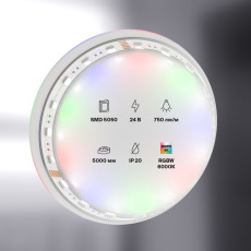 Светодиодная лента 24В 5050 19,2Вт/м RGBW 6000K 5м IP20, 10181