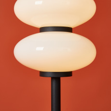 Напольный светильник (торшер) Aqua FR5553FL-L20B