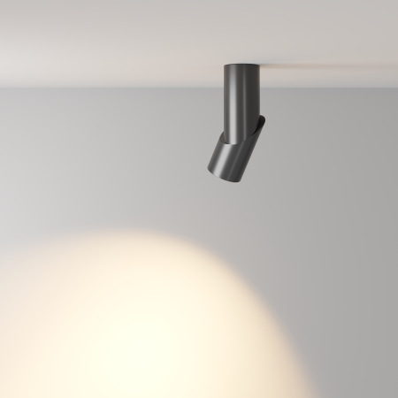 Потолочный светильник Dafne C027CL-L10B