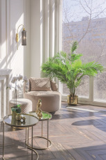 Настенный светильник (бра) Antic E14х1 40Вт, MOD302WL-01GR