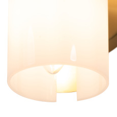 Настенный светильник (бра) Fiore, FR5368WL-02BS