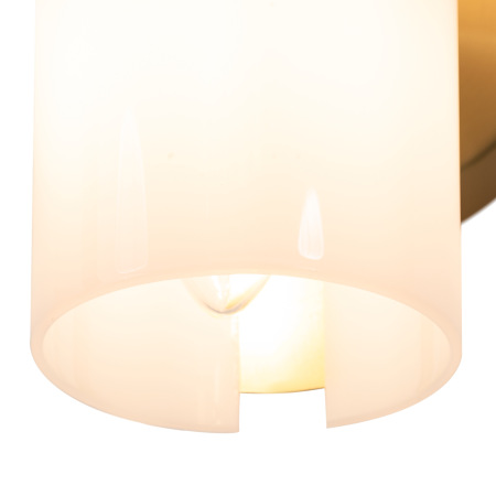 Настенный светильник (бра) Fiore, FR5368WL-02BS