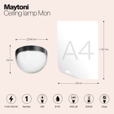 Потолочный светильник Mon 3000K 12Вт IP65, O438CL-L12GF3K