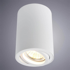 Светильник Arte Lamp SENTRY A1560PL-1WH