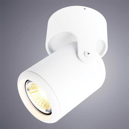 Светильник Arte Lamp LIBRA A3316PL-1WH