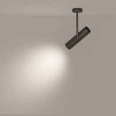 Потолочный светильник Elti C020CL-01B