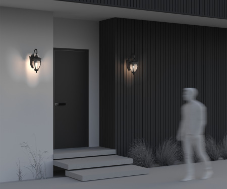 Настенный светильник (бра) Fleur E27х1 60Вт IP 44, O414WL-01BZ