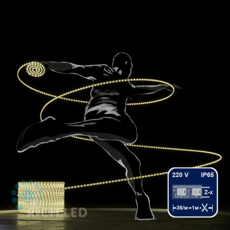 Светодиодный дюралайт Rich LED, 2-х проводной, теплый белый, кратность резки 1 метр, диаметр 13 мм, 220 В, 100 м. RL-DL-2WH-100-240-WW