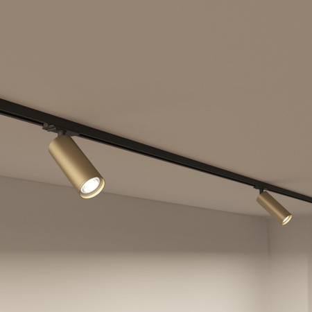 Трековый светильник Denkirs DK6202-BG