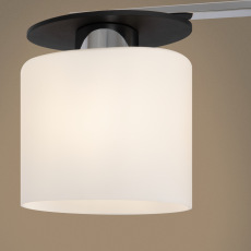 Потолочный светильник Bice FR5101-CL-03-CN