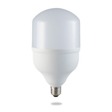 Лампа светодиодная, (25W) 230V E27 6400K T80, LB-65