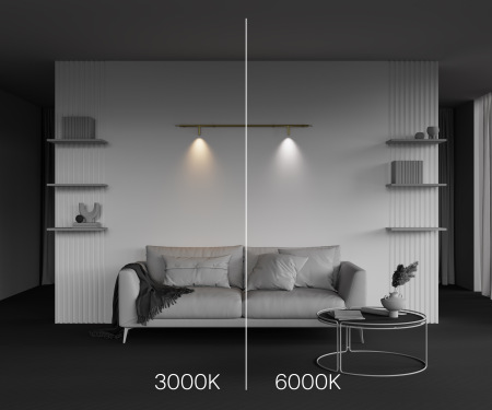 Светильник Focus Led для штанговой системы освещения Axity 3000-6000К 3Вт 45°, C102CL-3W3-6K-BS