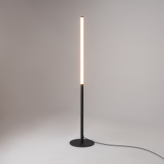 Торшер Maytoni Ray Z012FL-L18B3K