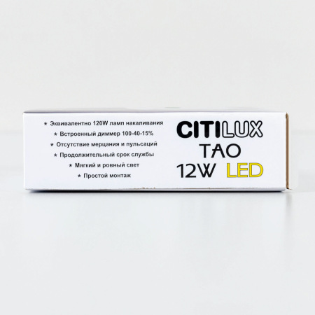Накладной светодиодный светильник Citilux Тао CL712120N