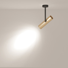 Потолочный светильник Elti C020CL-01GB