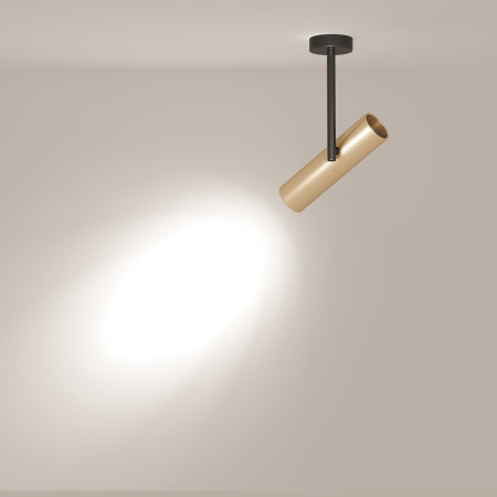 Потолочный светильник Elti C020CL-01GB