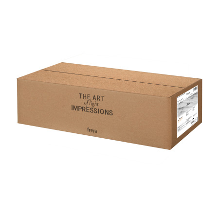 Потолочный светильник Bice FR5101-CL-04-CN