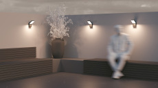 Настенный светильник (бра) Paso 3000К 12Вт IP 54, O595WL-L12B3K