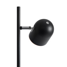 Напольный светильник (торшер) Unique FR5279FL-L7B