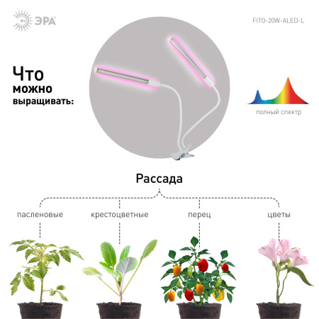 Светильник для растений на прищепке ЭРА FITO-20W-АLED-L полного спектра 12 Вт белый