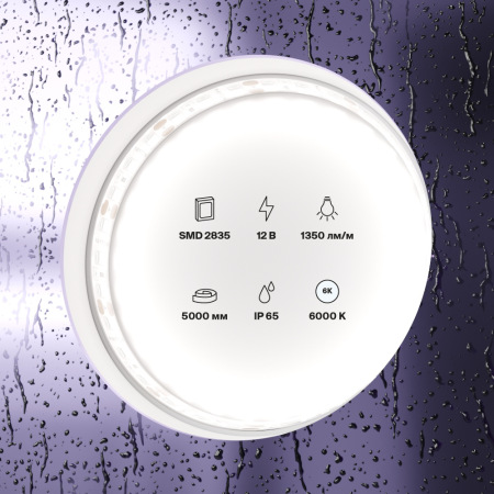 Светодиодная лента 12В 2835 14,4Вт/м 6000K 5м IP65, 10119