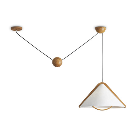 Потолочный светильник Umbra, FR5554CL-01T