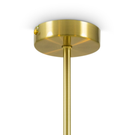 Потолочный светильник Borgy, FR5379CL-06G