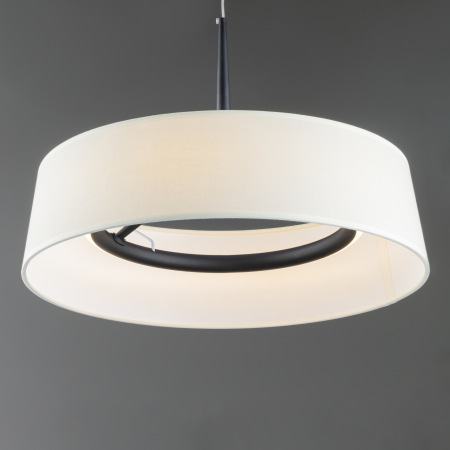 Подвесной светильник Vabi, FR6132PL-L15B