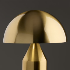 Настольный светильник Freya FR5218TL-01BS