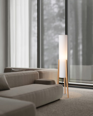 Напольный светильник (торшер) Bliss, FR5543FL-01T