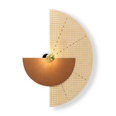 Настенный светильник (бра) Carry, FR5487WL-01G4