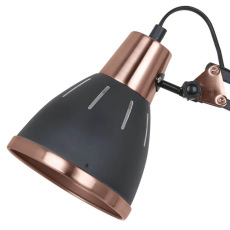 Настольная лампа Arte Lamp A2246LT-1BK