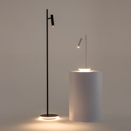 Торшер Maytoni Estudo Z010FL-L8B3K