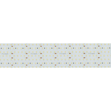 Светодиодная лента S2-A560-85mm 24V Day4000 (40 W/m, IP20, 2835, 2.5m) (Arlight, Открытый), 021210(2)