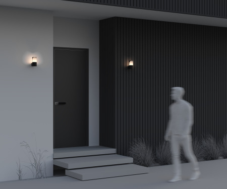 Настенный светильник (бра) Piccadilly O016WL-01B