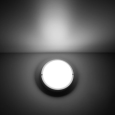 Потолочный светодиодный светильник Gauss Сауна 126411212